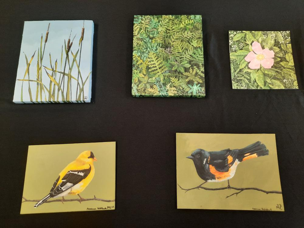 Waterfowl Park Youth Artist-in-Residence – Meet the Artist